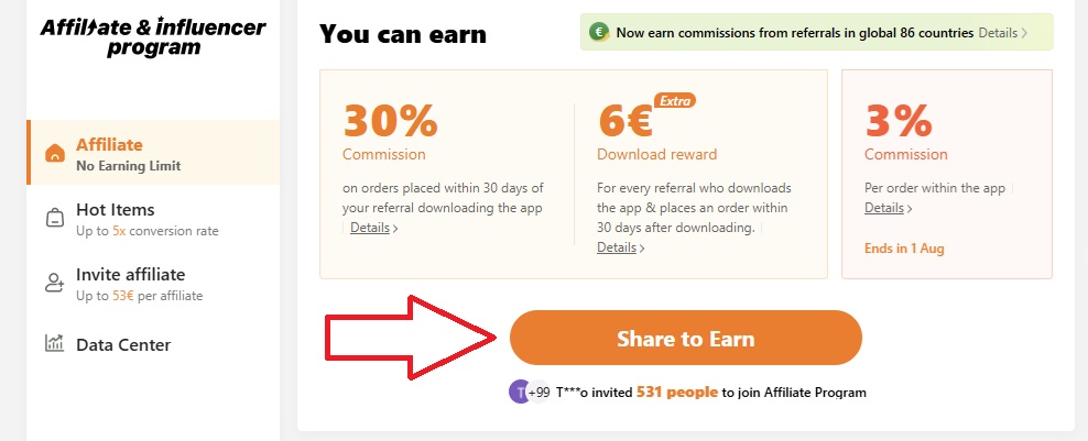 Program de afiliere TEMU